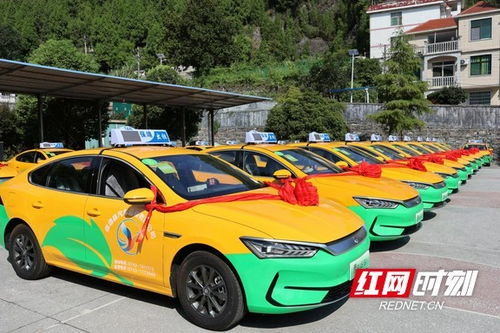 黄金茶城驶入绿色未来，保靖县60台新能源出租车正式投运